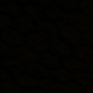 Meet your Posher, Risa